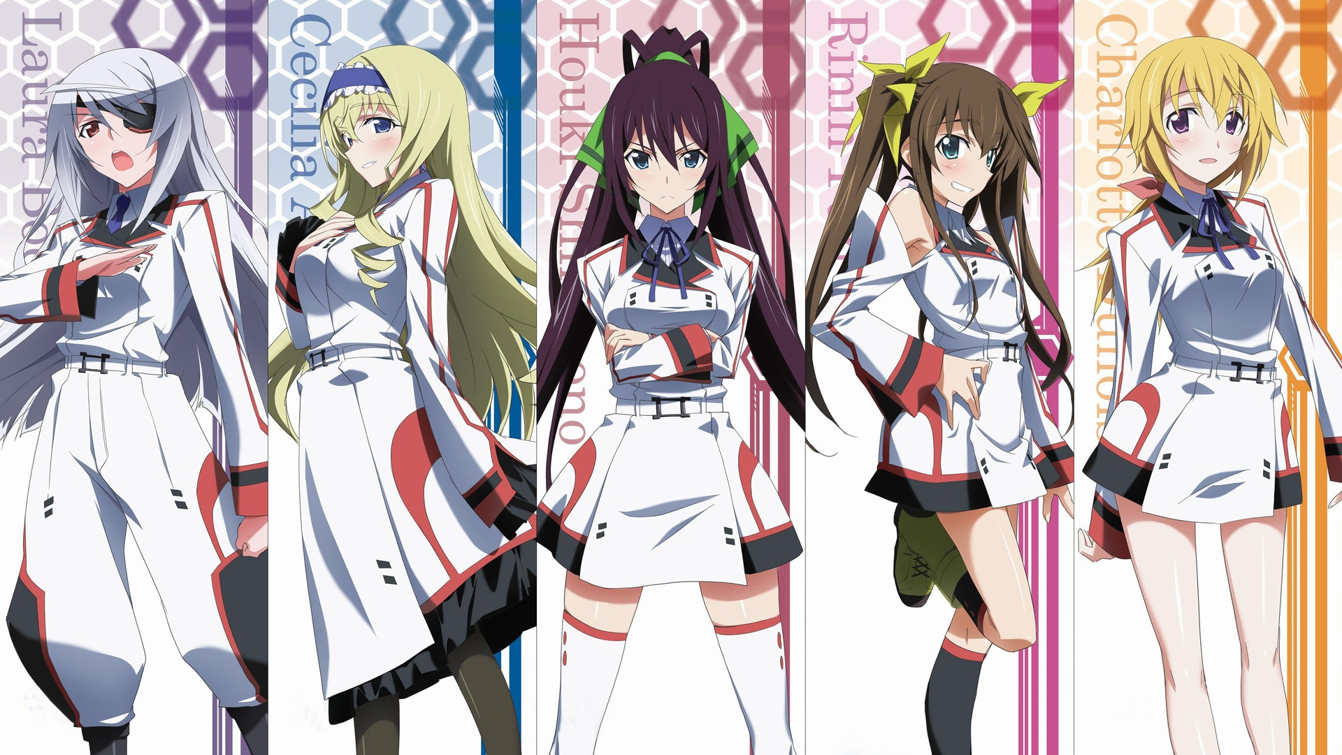 Infinite Stratos 2