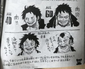 One Piece Vol. 89